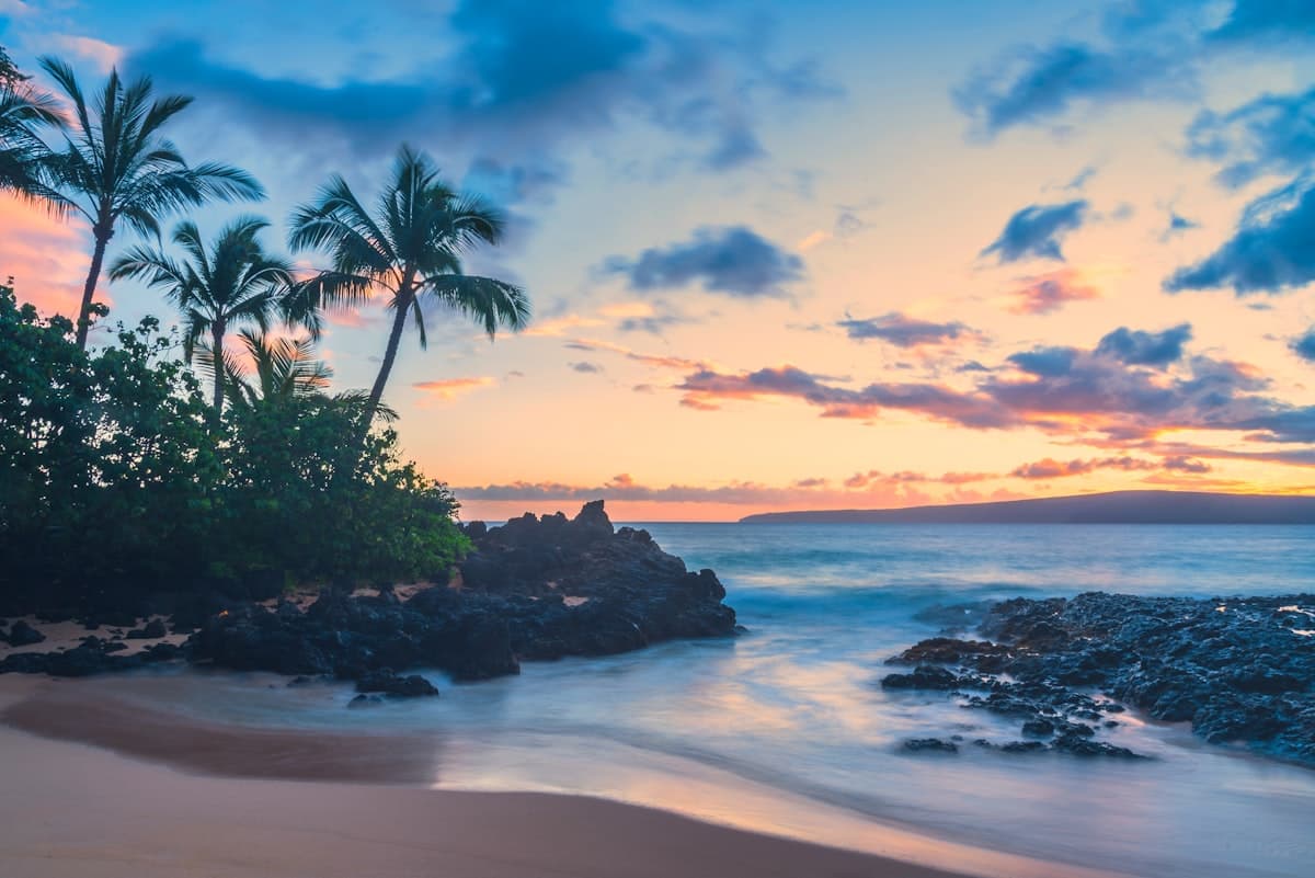 Palm-fringed Hawaiian beach at sunset
