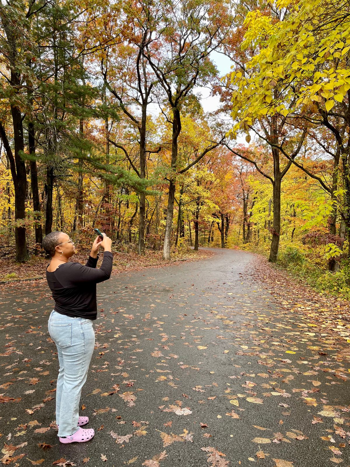 Leaf Peeping in New Haven, CT