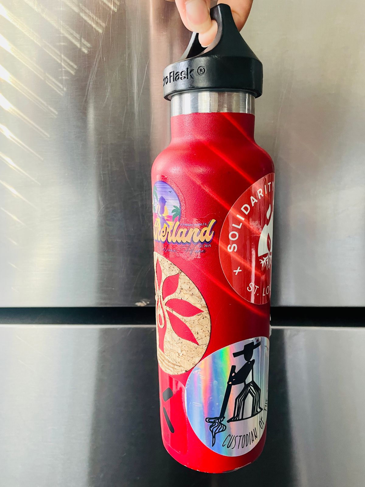 You couldn't convince my high school self that I'd become a stickers on water bottles kinda person đ